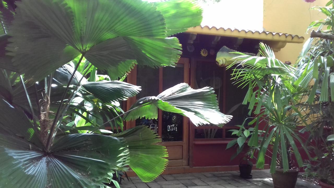 칸쿤 Casa Kin33 B&B 외부 사진