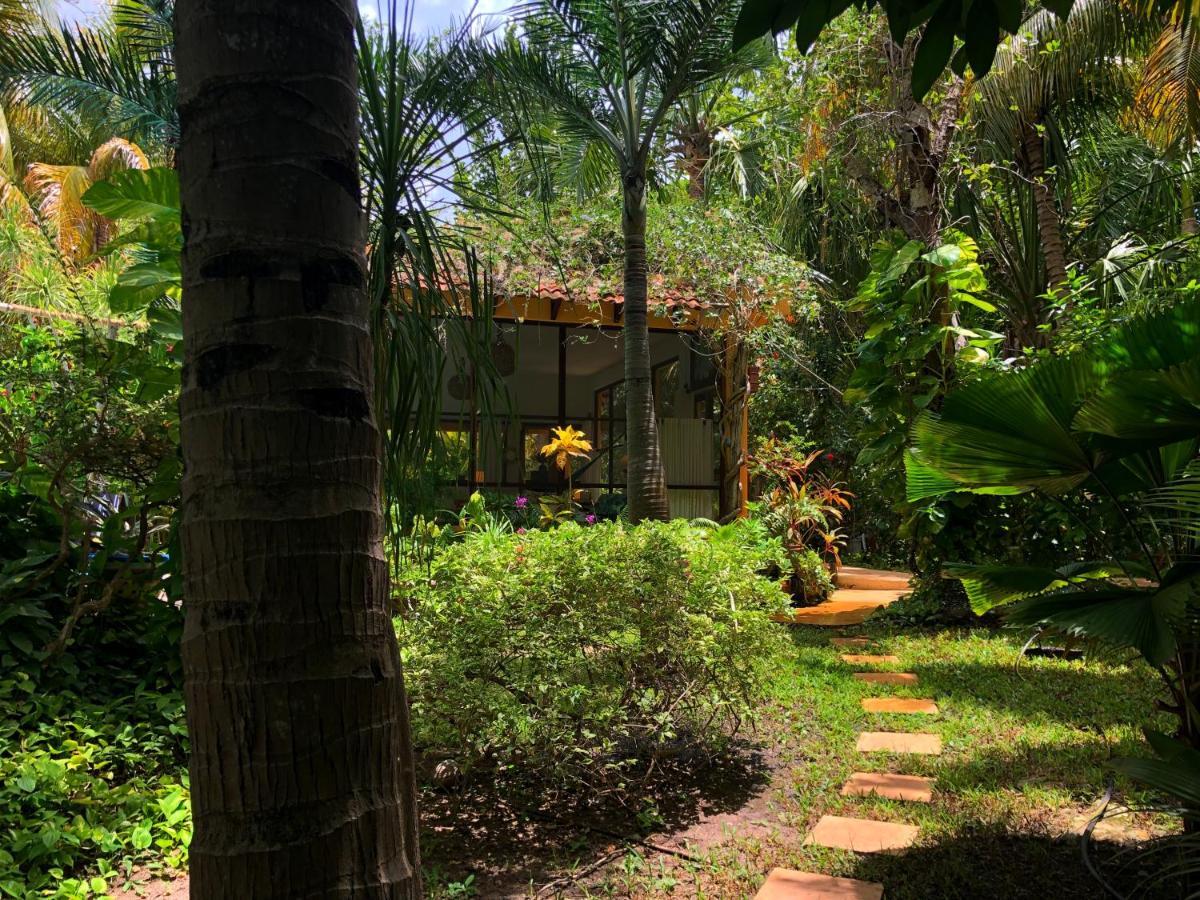 칸쿤 Casa Kin33 B&B 외부 사진
